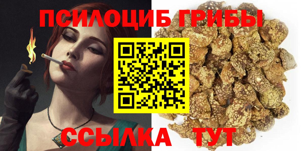 Майкоп  Псилоцибиновые грибы Psilocybe  Псилоцибиновые грибы Psilocybe  Вход с VPN 